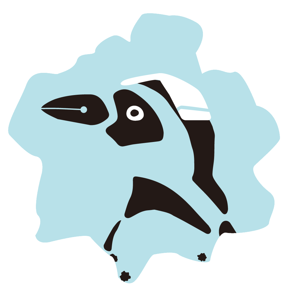 loader image